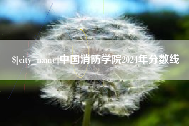 邵阳中国消防学院2024年分数线
