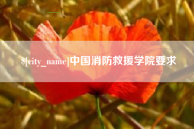 邵阳中国消防救援学院要求