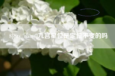 邵阳九宫星位是定位不变的吗