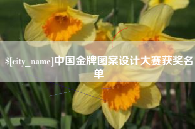 邵阳中国金牌图案设计大赛获奖名单