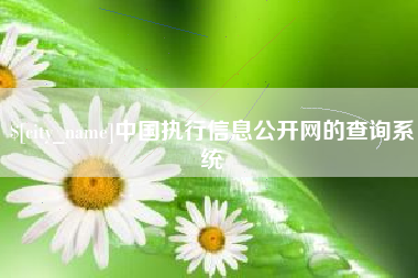 邵阳中国执行信息公开网的查询系统