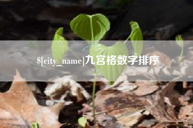 邵阳九宫格数字排序