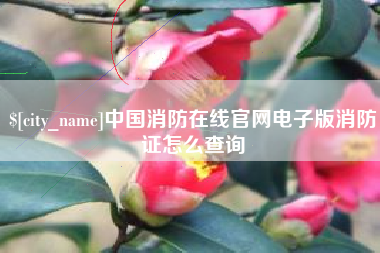 邵阳中国消防在线官网电子版消防证怎么查询