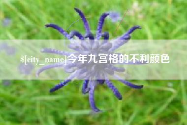 邵阳今年九宫格的不利颜色