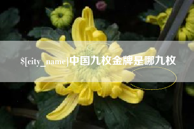 邵阳中国九枚金牌是哪九枚