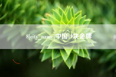 邵阳中国19块金牌