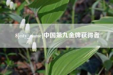 邵阳中国第九金牌获得者