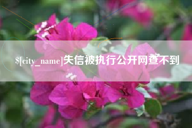 邵阳失信被执行公开网查不到