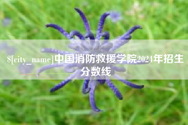邵阳中国消防救援学院2024年招生分数线