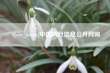 邵阳中国执行信息公开网询