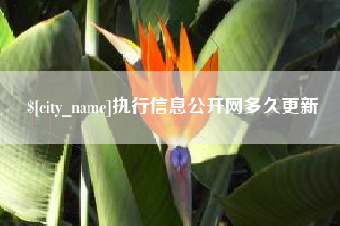 邵阳执行信息公开网多久更新