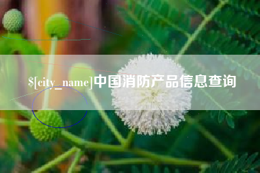 邵阳中国消防产品信息查询