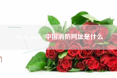 邵阳中国消防网址是什么