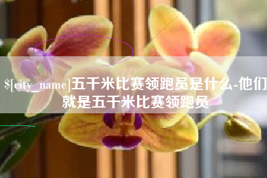 邵阳五千米比赛领跑员是什么-他们就是五千米比赛领跑员