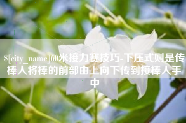 邵阳60米接力赛技巧-下压式则是传棒人将棒的前部由上向下传到接棒人手中