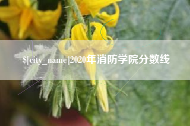 邵阳2020年消防学院分数线
