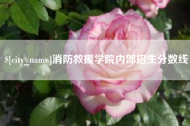 邵阳消防救援学院内部招生分数线