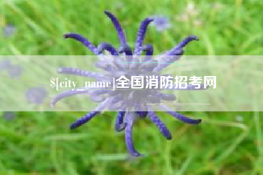 邵阳全国消防招考网