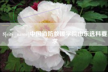 邵阳中国消防救援学院山东选科要求