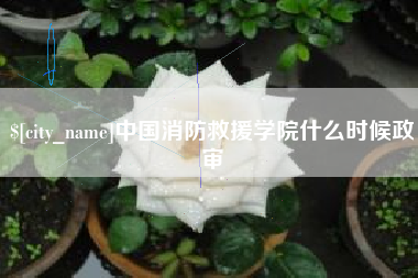 邵阳中国消防救援学院什么时候政审