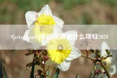 邵阳中国金牌是什么项目2024