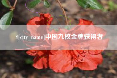邵阳中国九枚金牌获得者