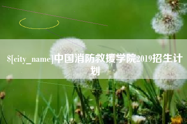 邵阳中国消防救援学院2019招生计划