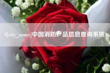 邵阳中国消防产品信息查询系统1