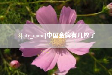 邵阳中国金牌有几枚了