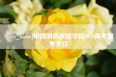 邵阳中国消防救援学院2020高考报考条件