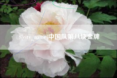邵阳中国队第八块金牌