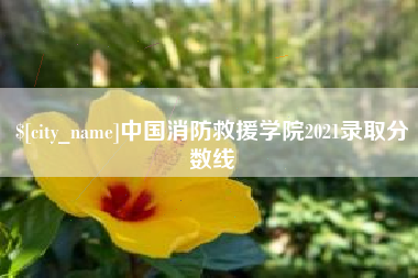 邵阳中国消防救援学院2021录取分数线