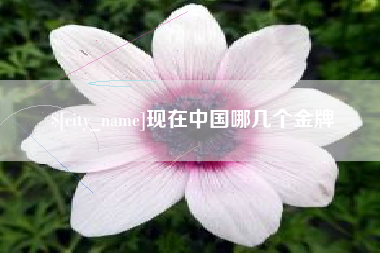 邵阳现在中国哪几个金牌