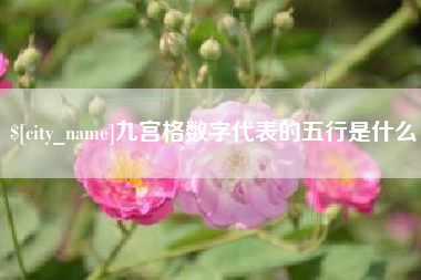 邵阳九宫格数字代表的五行是什么