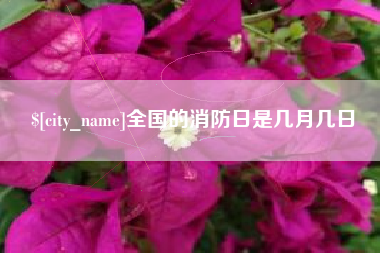 邵阳全国的消防日是几月几日