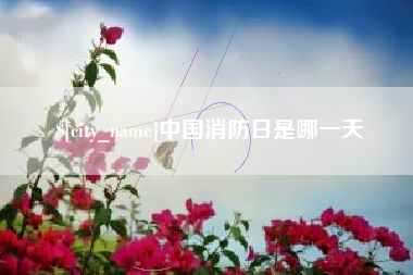 邵阳中国消防日是哪一天