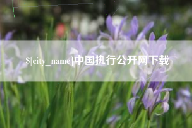 邵阳中国执行公开网下载