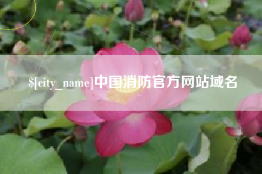 邵阳中国消防官方网站域名