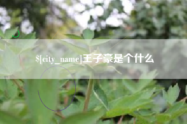 邵阳王子豪是个什么