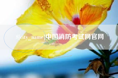 邵阳中国消防考试网官网