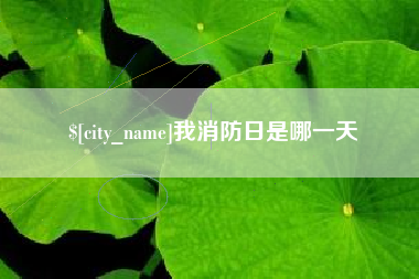 邵阳我消防日是哪一天