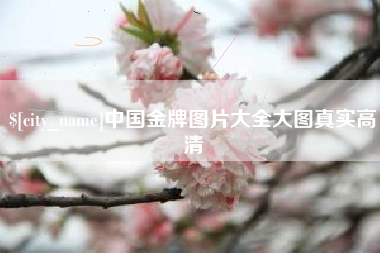 邵阳中国金牌图片大全大图真实高清
