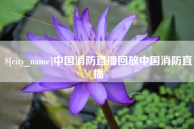 邵阳中国消防直播回放中国消防直播