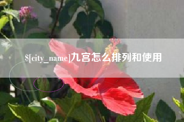 邵阳九宫怎么排列和使用