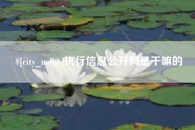 邵阳执行信息公开网是干嘛的