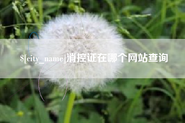 邵阳消控证在哪个网站查询