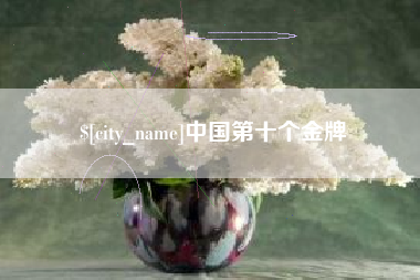 邵阳中国第十个金牌