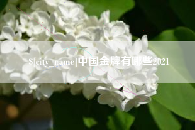 邵阳中国金牌有哪些2021