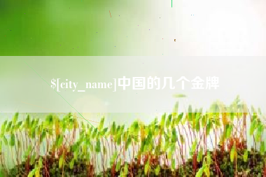 邵阳中国的几个金牌