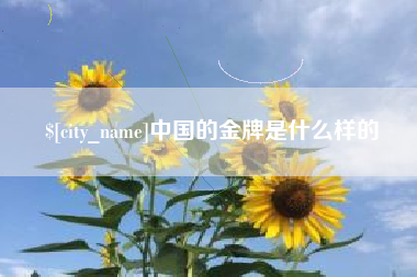 邵阳中国的金牌是什么样的
